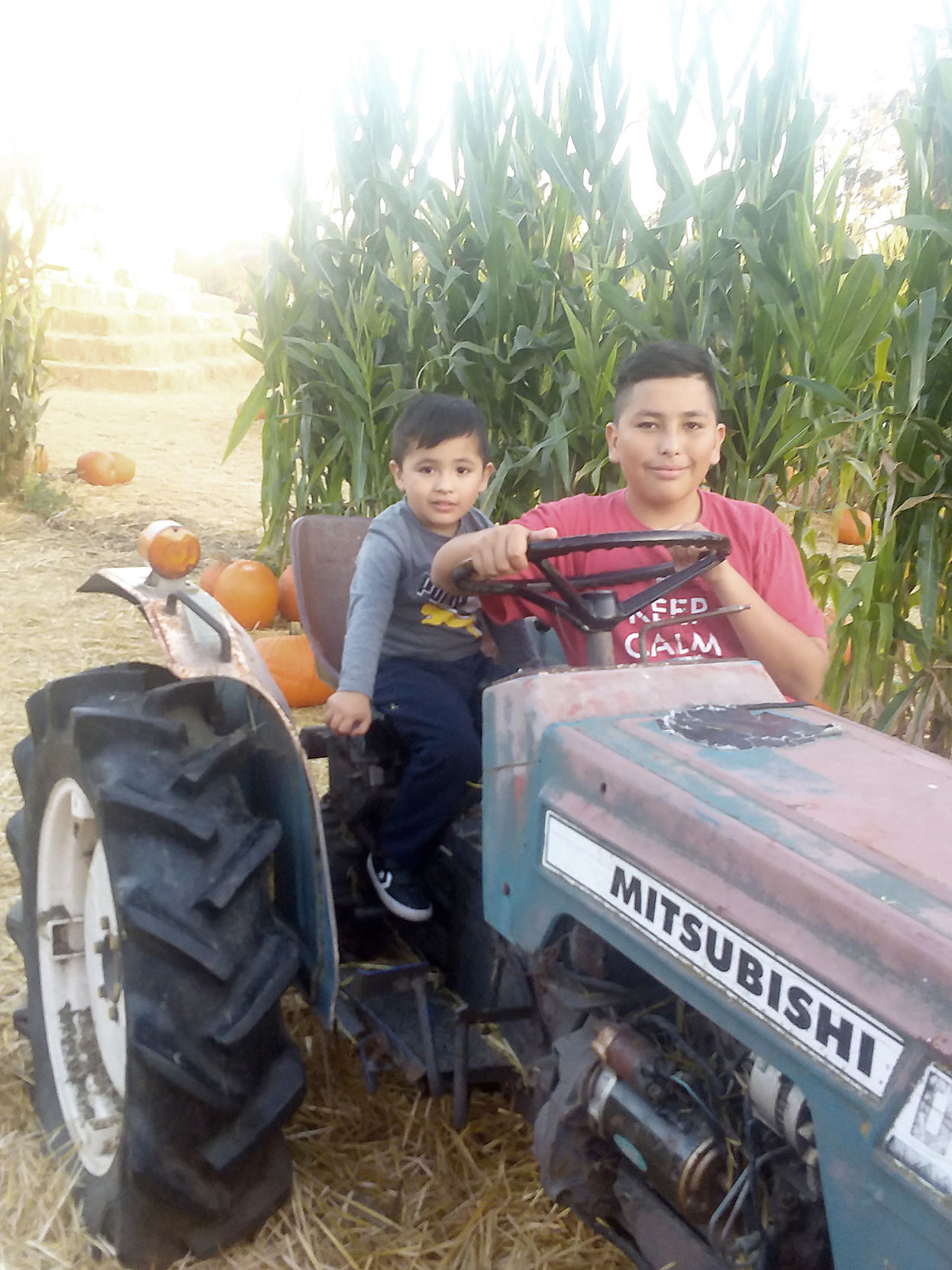 Pumpkin Patch